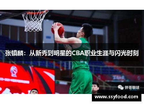 张镇麟：从新秀到明星的CBA职业生涯与闪光时刻