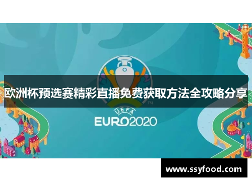 欧洲杯预选赛精彩直播免费获取方法全攻略分享