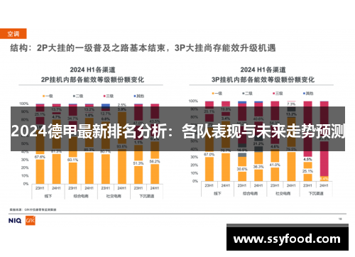 2024德甲最新排名分析：各队表现与未来走势预测