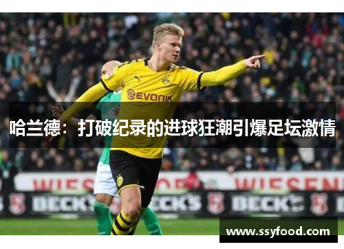 哈兰德:打破纪录的进球狂潮引爆足坛激情 哈兰德:打破纪录的进球狂潮引爆足坛激情