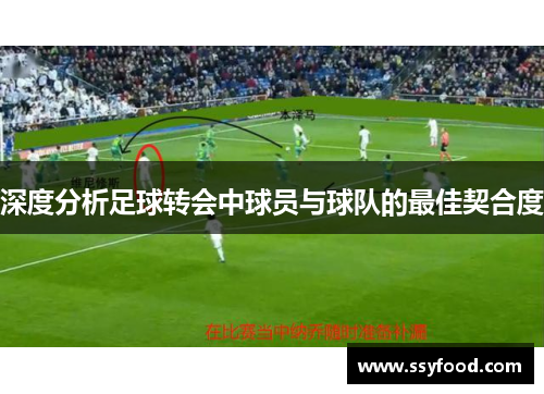 深度分析足球转会中球员与球队的最佳契合度 深度分析足球转会中球员与球队的最佳契合度